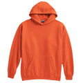 Pennant Youth Super 10 Hoodie