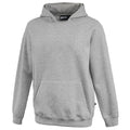 Pennant Youth Rugger Hoodie