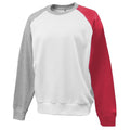 Pennant Men's Colorblock Fleece Crew