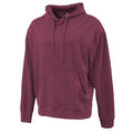 Pennant Mens Vintage Hoodie