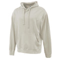 Pennant Mens Vintage Hoodie