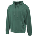 Pennant Mens Vintage Hoodie