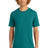 District Men's     Perfect Tri     DTG Tee DM130DTG