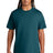 Stanley/Stella Men's Freestyler Heavyweight Tee SXU018
