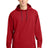 Richardson Men's Charge Performance Fleece Long Sleeve Hoodie RA7200LSH