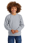District Youth   V.I.T.   Fleece Crew DT6104Y