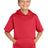 Sport-Tek Youth    Sport-Wick    Fleece Short Sleeve Hooded Pullover