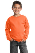 Port & Co Youth   Core Fleece Crewneck Sweatshirt-1