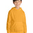 Port & Co Youth   Core Fleece Pullover Hooded Sweatshirt