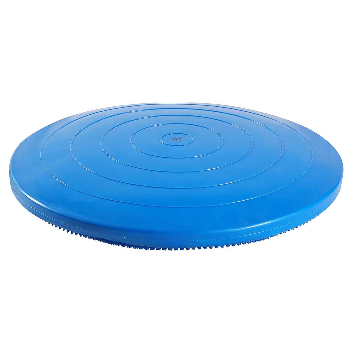 Champion Sports Fit Disc