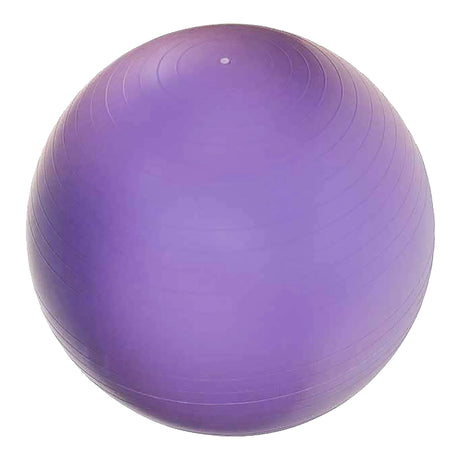 Champion Sports Burst Gym Ball