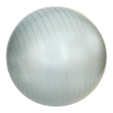 Champion Sports Burst Gym Ball