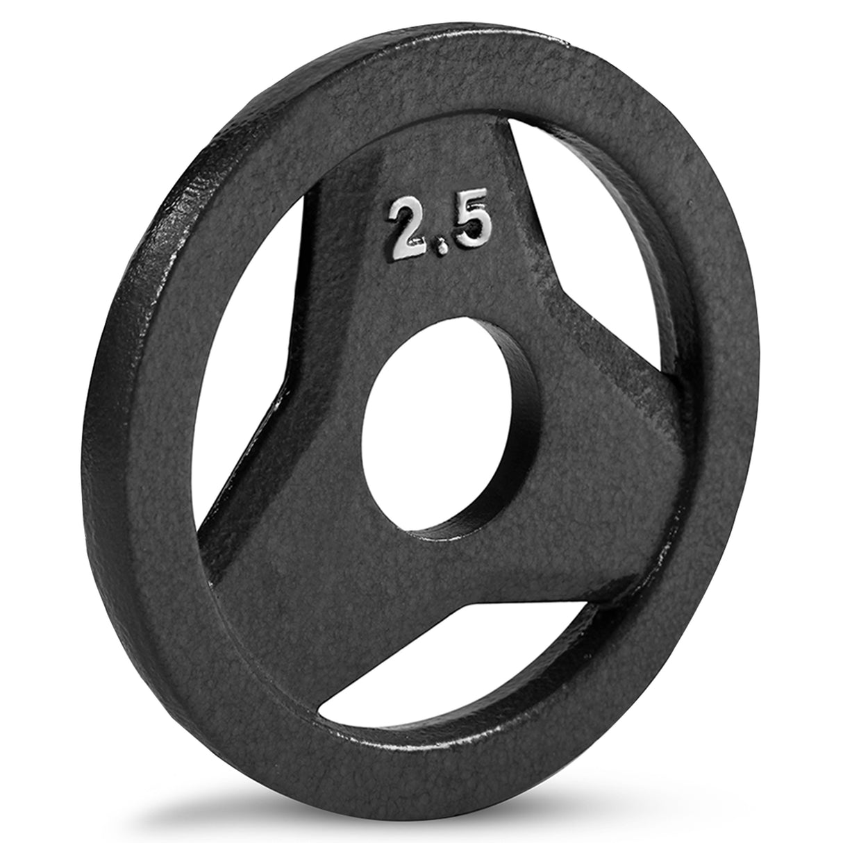 Champion Sports Cast Iron Grip Plate