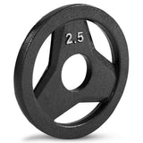 Champion Sports Cast Iron Grip Plate
