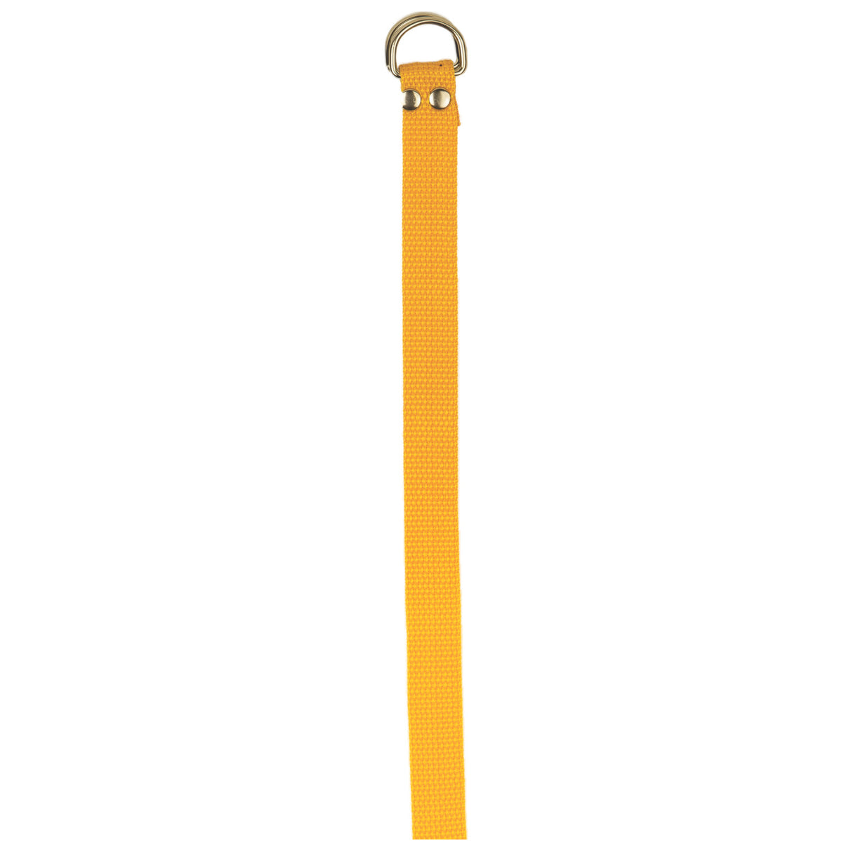 Champion Sports Football Belt
