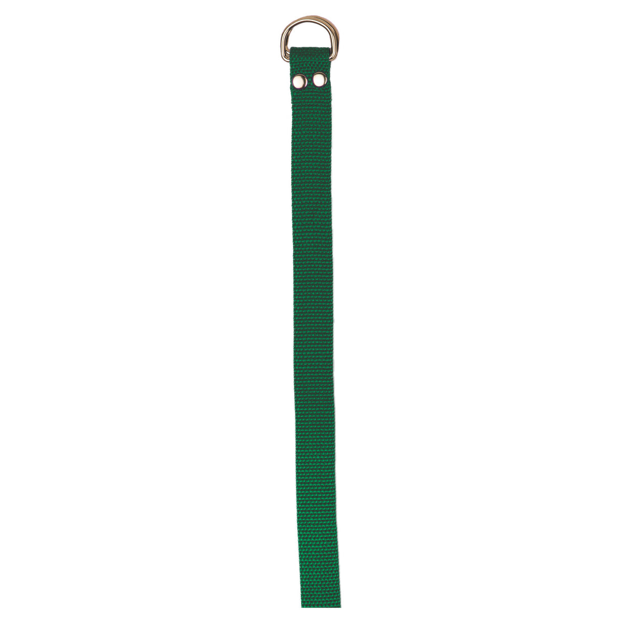 Champion Sports Football Belt