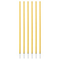 Champion Sports Coaching Sticks