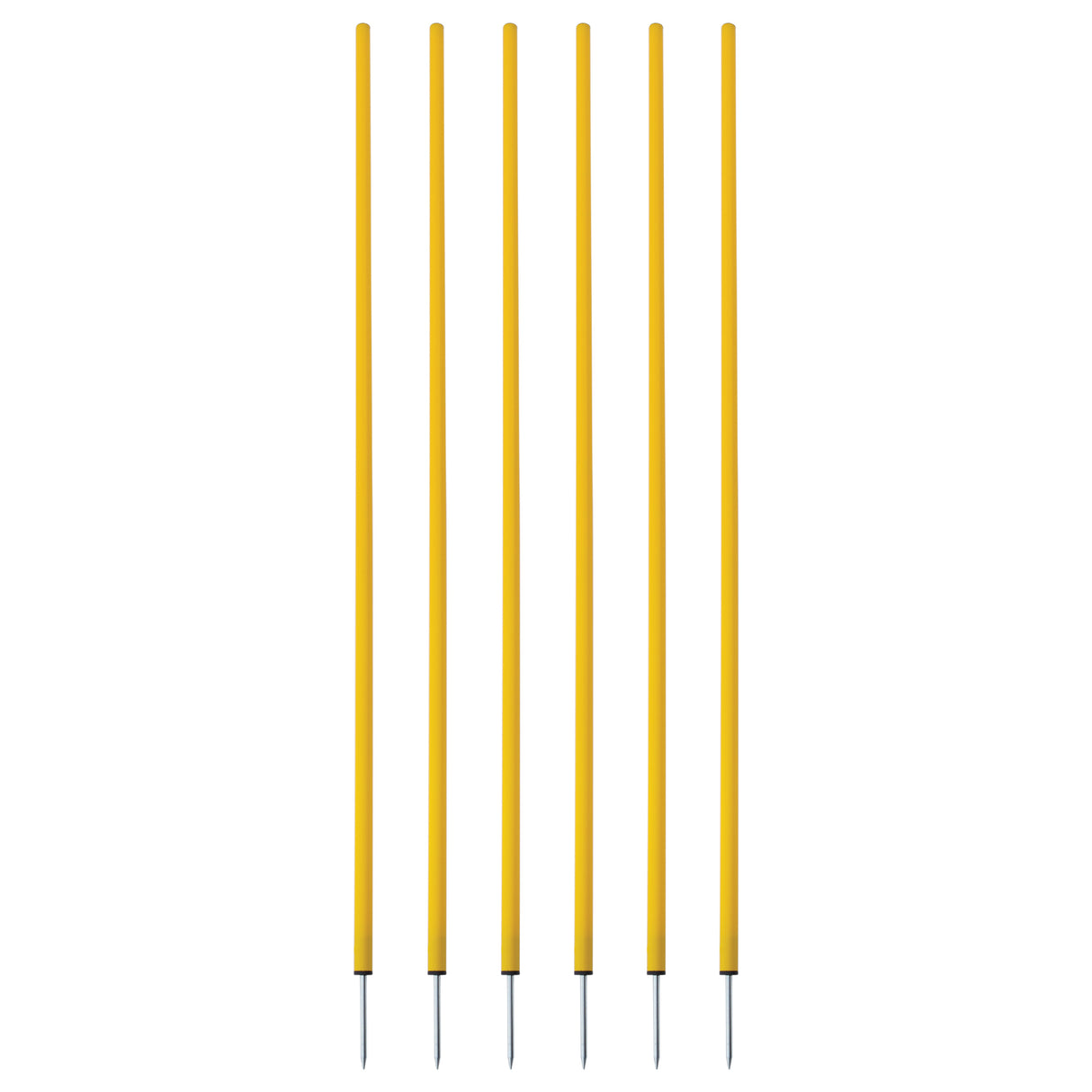 Champion Sports Coaching Sticks