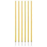 Champion Sports Coaching Sticks