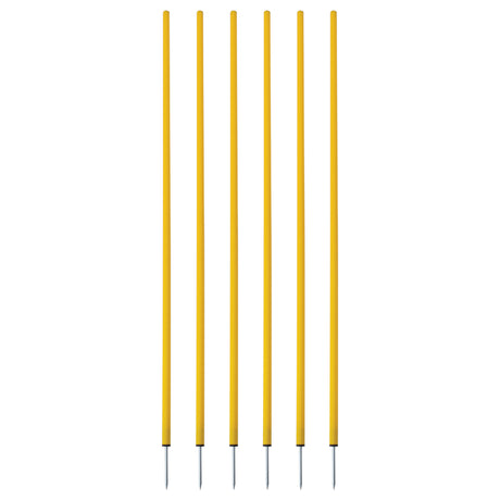 Champion Sports Coaching Sticks
