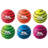 Champion Sports Rhino Skin Ball Medium Bounce Foam Ball