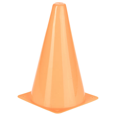 Champion Sports High Visibility Plastic Cone