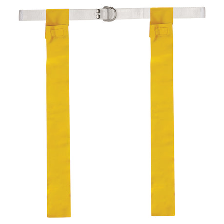 Champion Sports Flag Football