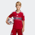 adidas Youth Wales 26 Home Jersey