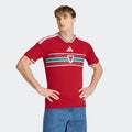 adidas Men's Wales 26 Home Jersey