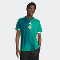 adidas Men's Northern Ireland 26 Home Jersey
