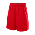 Wilson Youth Pro Team Training Baseball Shorts 2.0