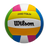 Wilson Pro Tour Volleyball-1
