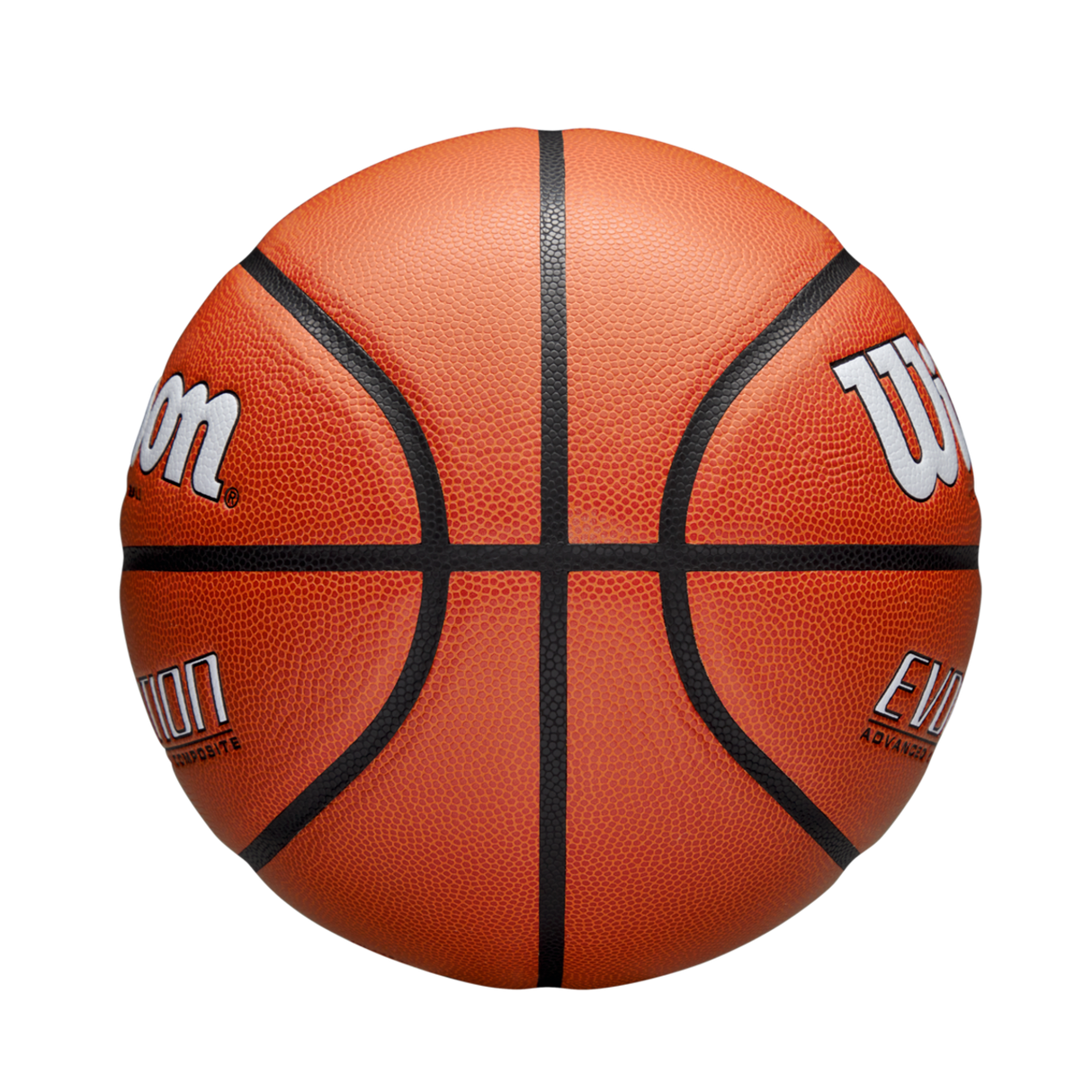 Wilson Adult Evolution Basketball-4