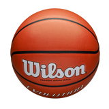 Wilson Adult Evolution Basketball-5