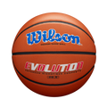 Wilson Adult Evolution Basketball-1