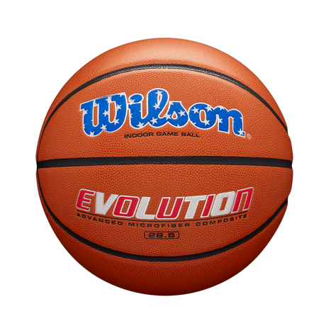 Wilson Adult Evolution Basketball-1