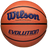 Wilson Adult Evolution Game Ball Basketball-1