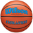 Wilson Adult Evolution Game Ball Basketball-1