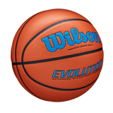 Wilson Adult Evolution Game Ball Basketball-2