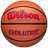 Wilson Adult Evolution Game Ball Basketball-1