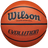 Wilson Adult Evolution Game Ball Basketball-1