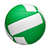 Wilson Adult Helix Volleyball Game Ball-4