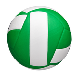 Wilson Adult Helix Volleyball Game Ball-6