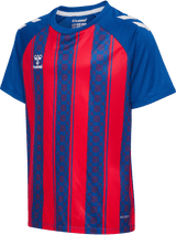 hummel Youth Match Striped Short Sleeve Jersey-1