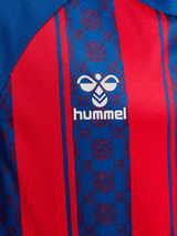 hummel Youth Match Striped Short Sleeve Jersey-3