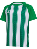 hummel Youth Match Striped Short Sleeve Jersey-1