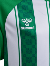 hummel Youth Match Striped Short Sleeve Jersey-4