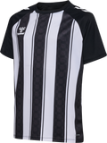 hummel Youth Match Striped Short Sleeve Jersey-1