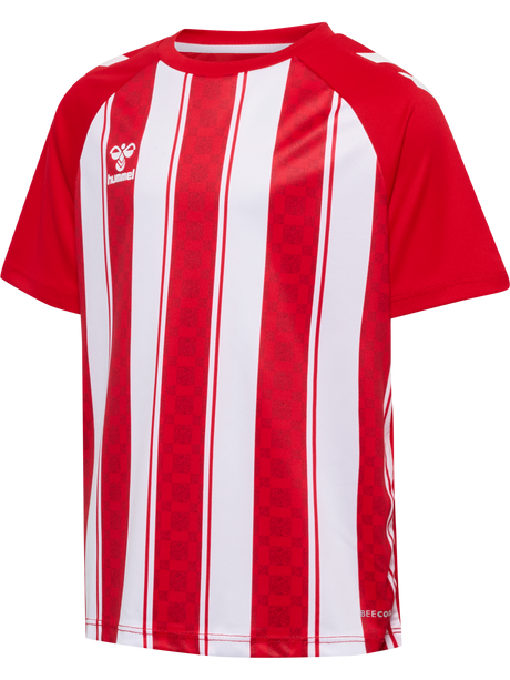 hummel Youth Match Striped Short Sleeve Jersey-1