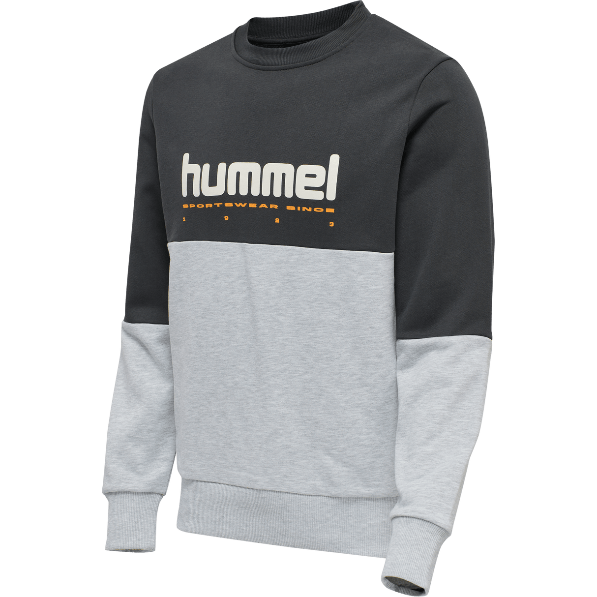 hummel Unisex Legacy Manfred Sweatshirt-1